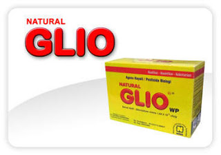 Pupuk Organik Nasa yang berupa Natural GLIO adalah pengendali penyakit alami yang berbahan aktif Gliocladium sp dan Trichoderma sp . 